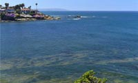 5950 Camino De La Costa :: Recently Sold Ocean Front and Coastal Properties in Mission Beach and La Jolla